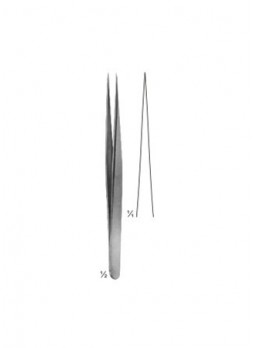 Forceps